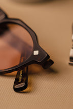 MMXXIV - TORTOISE TRANSITIONAL AMBER